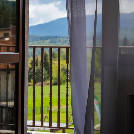 Family The View & تسيغوف تشارك