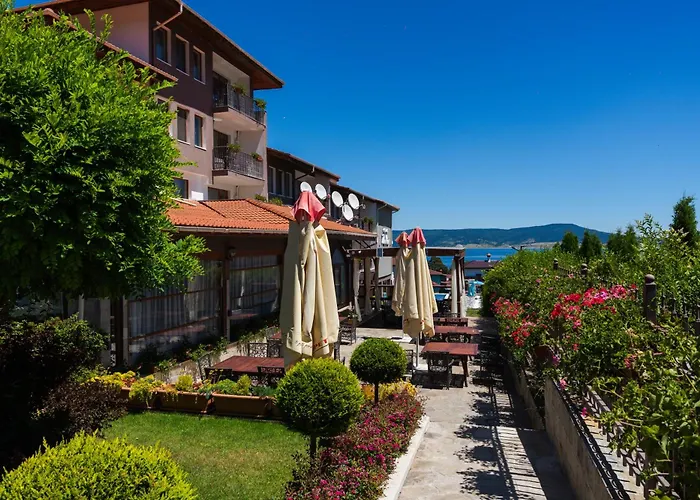 Family The View & تسيغوف تشارك